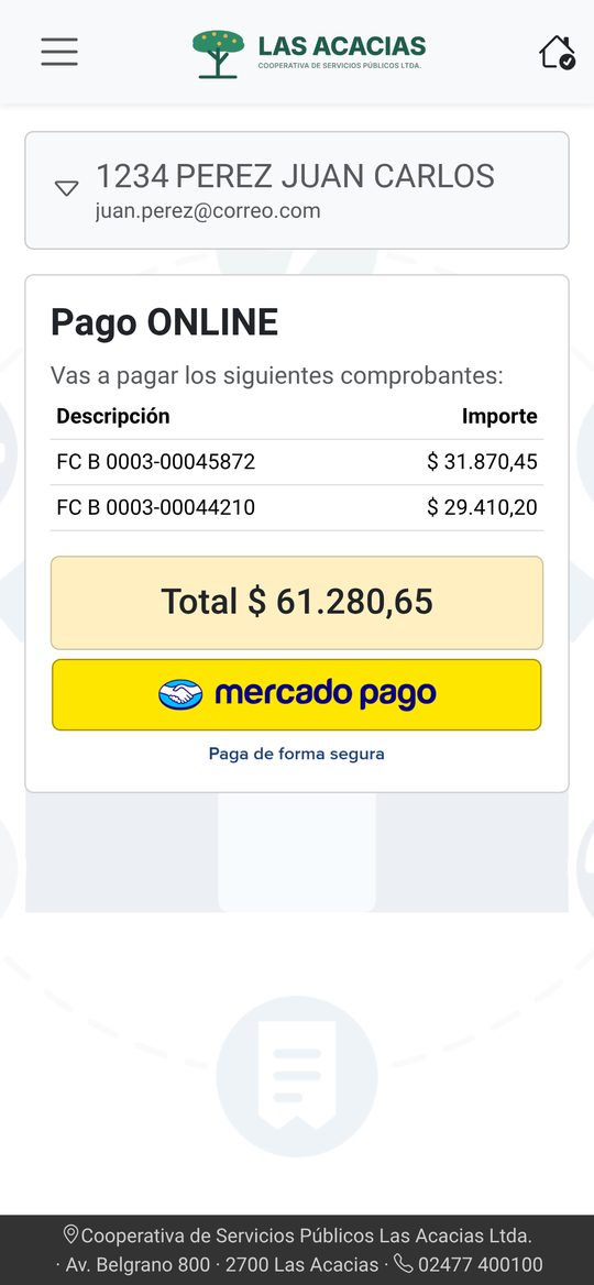 Pantalla Pago ONLINE con el total y el botón de Mercado Pago
